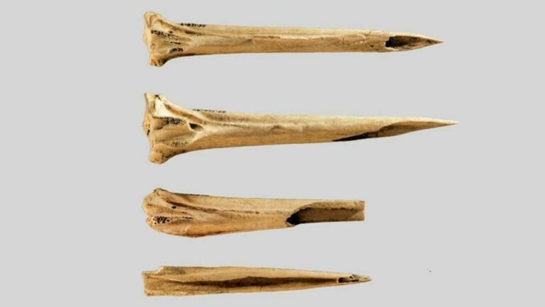 Pointed turkey bones are oldest Native American tattoo kit, says study