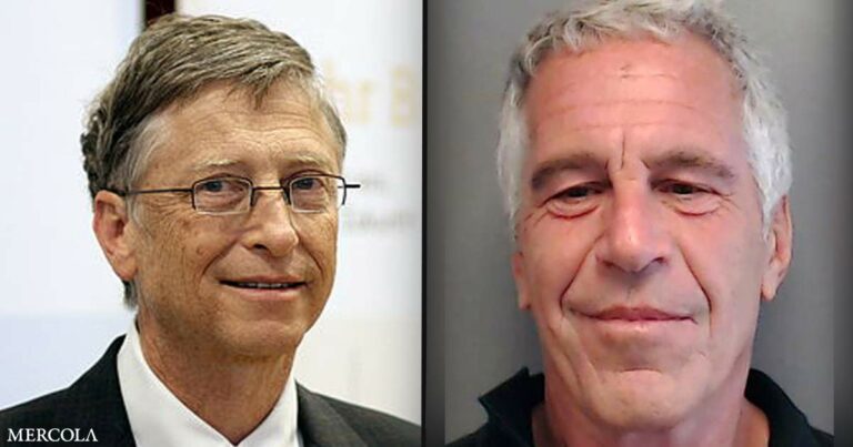 The Truth About Bill Gates, Microsoft and Jeffrey Epstein