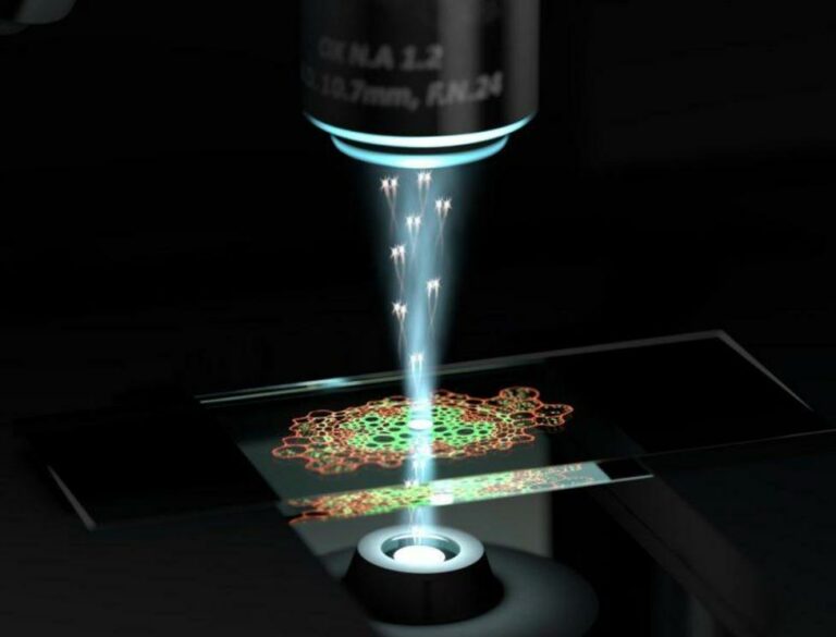 Quantum microscope invented that can see the impossible