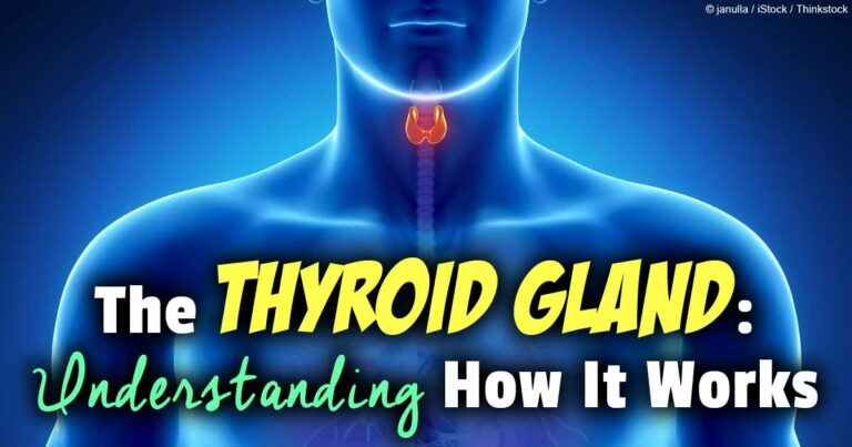 Effective Treatment Protocols for Hypothyroid and Hyperthyroid Disease