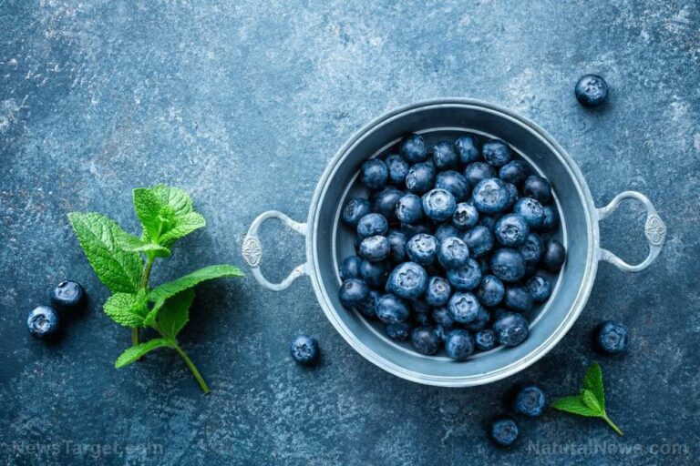 Ten reasons why blueberries are good for you