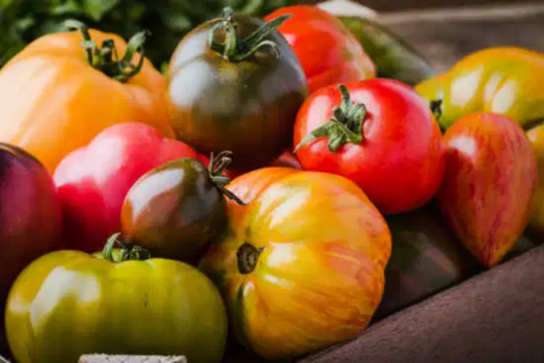 How to make the most of your tomato harvest