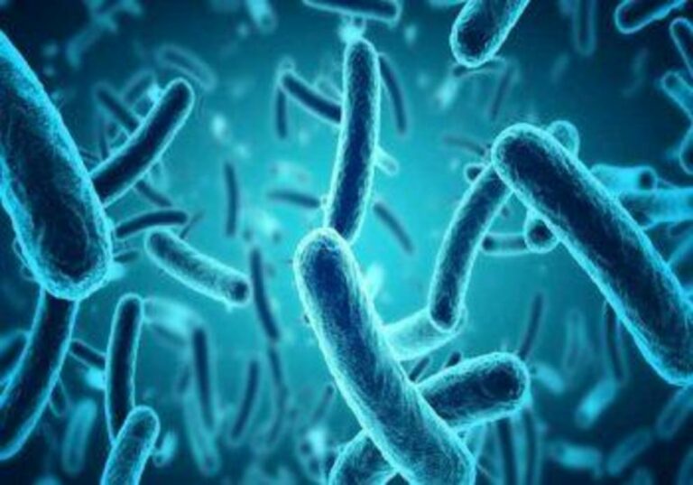 Bacteria is best: why a healthy gut microbiome is key to cancer prevention