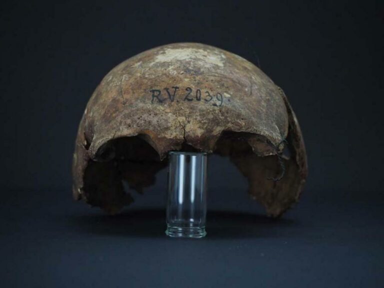 Black Death origins linked to 5,000-year-old Latvian man