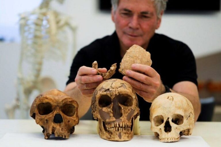 New early human discovered in 130,000-year-old fossils at Israeli cement site