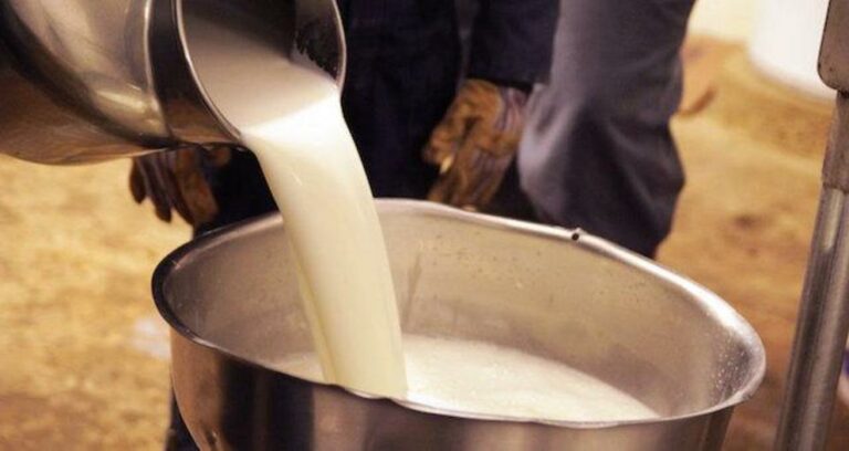 Now in effect: Vermont law expands raw milk sales