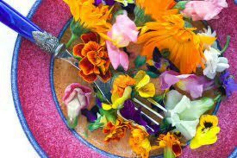 Edible flowers that are good for the body and brain