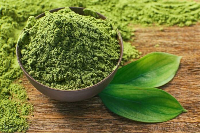 Five reasons you should be drinking matcha tea