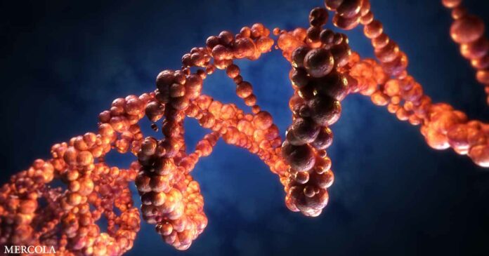 Visual Display of How mRNA Vaccine Affects Cells