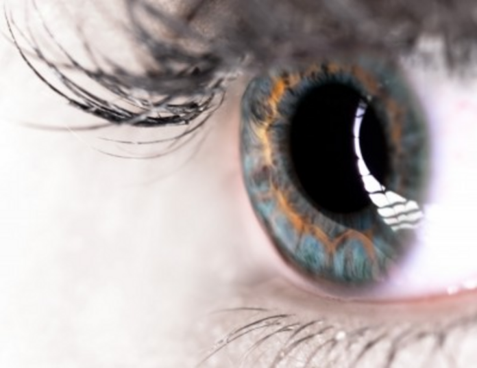 Best kept secrets to prevent, halt or even reverse macular degeneration