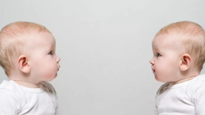 Did you share the womb with a 'vanishing twin'? The answer may be written in your DNA