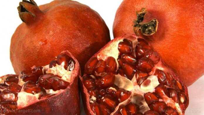 Pomegranate peel has protective effects against enteropathogenic bacteria