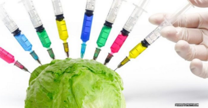 ‘Lettuce’ vaccinate you and other reasons you can’t trust the food supply