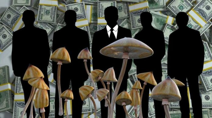 The ‘Psychedelic Renaissance’ is entirely about corporate greed