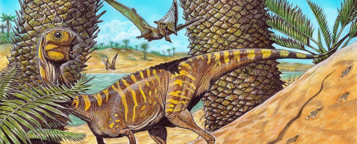 A rather tiny, 'very rare' toothless dinosaur was just discovered in Brazil