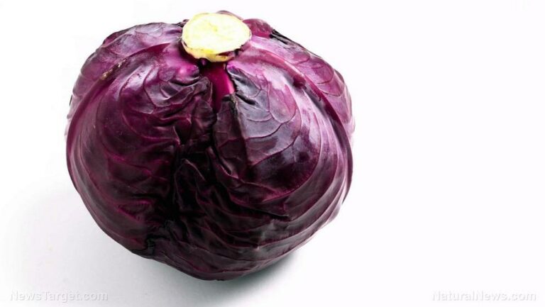 Six benefits of red cabbage, a versatile veggie (recipe included) 