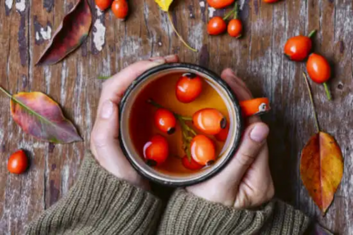 Three benefits for using rose hips to boost the immune system
