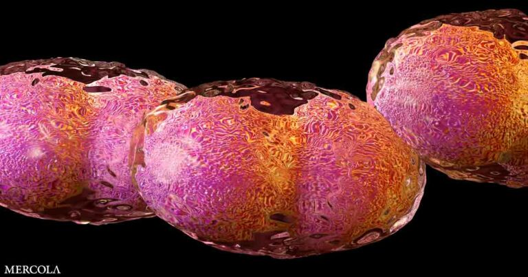 Will Smallpox Be the Next ‘Lab Leak’?