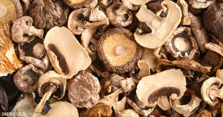 Could Mushrooms Be the Key to Improving Immunity?