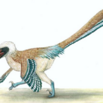 An ancient relative of Velociraptor is unearthed in Great Britain