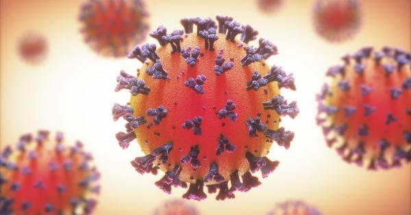 Op-Ed: "No One Has Died From the Coronavirus"