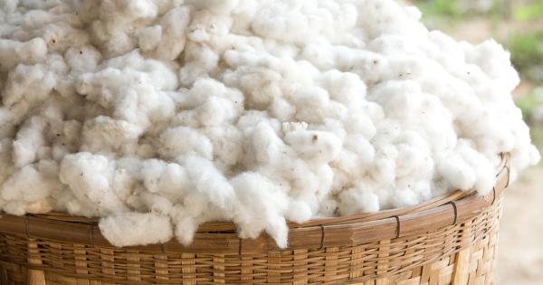 The Failure of GMO Cotton in India