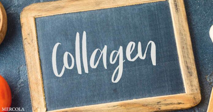 Why Collagen Is Crucial for Bones and Skin