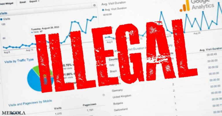 Court Says Google Analytics Is Illegal