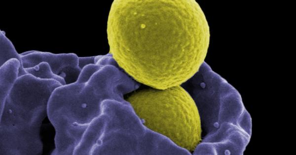 Antimicrobial Resistance - The Looming Medical Apocalypse