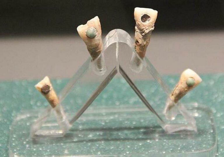 Ancient Maya tooth bling was also good for oral hygiene!