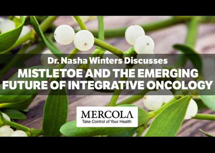 Mistletoe and the Emerging Future of Integrative OncologyWith 100 years of continuous use and backed by 250 randomized studies, it is the most studied integrative oncology therapy in the world - and utilized in upward of 60% to 80% of patients in Europe. Why is there so much resistance in the United...