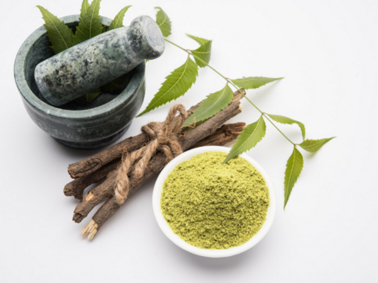 Neem powder: benefits, uses and how to make