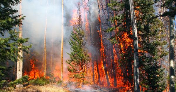 Weaponized Wildfires: California Burns 2.0