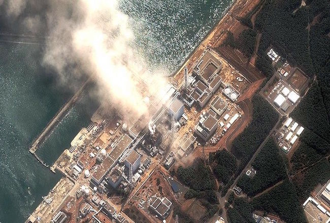 HELEN CALDICOTT: The Fukushima nuclear meltdown continues unabated