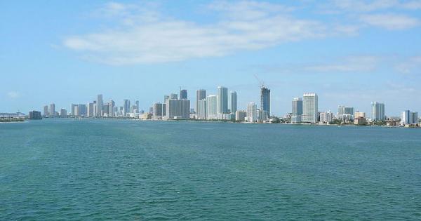 Citizens groups reject inadequate State enforcement of FPL’s violations of the Clean Water Act on Biscayne Bay