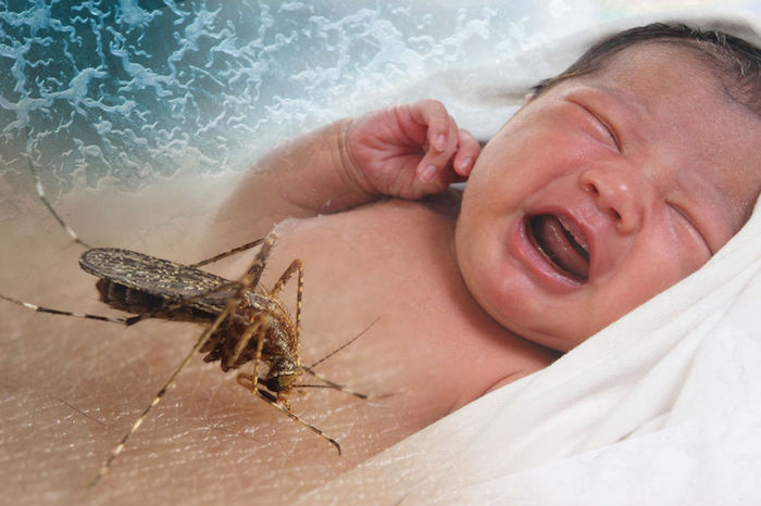 Zika vaccine: watch out—it will alter your DNA