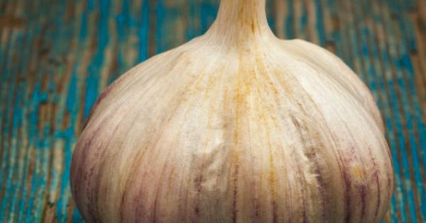 Garlic Prevents Artery Calcification and Infection