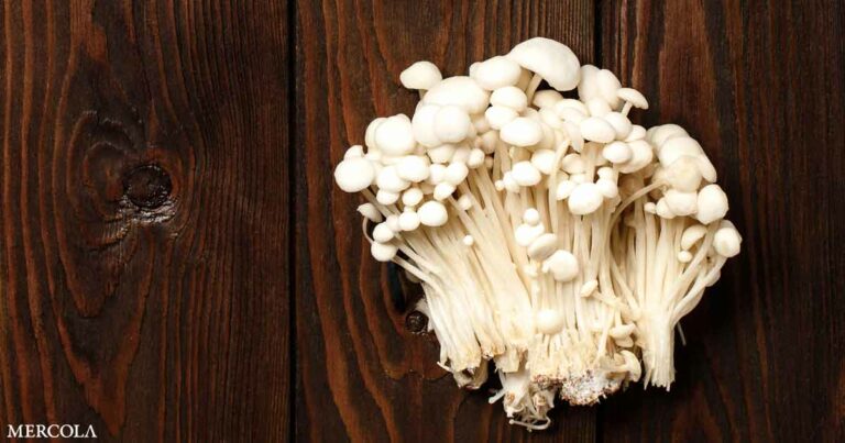 Ergothioneine: The Mushroom's Stealth Ingredient