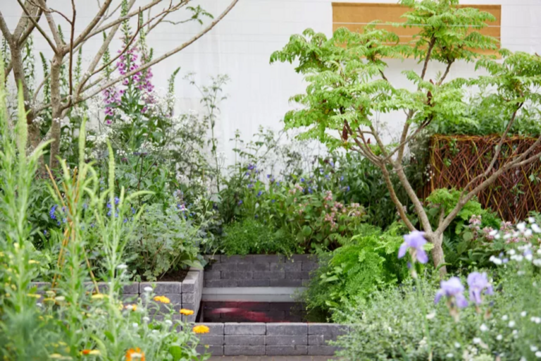 From flower to fabric: award-winning garden showcases the power of plants to clothe us