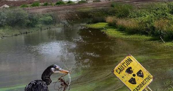 Explosive New Documentary on Florida's Darkest Environmental Secret: 'Phosfate'