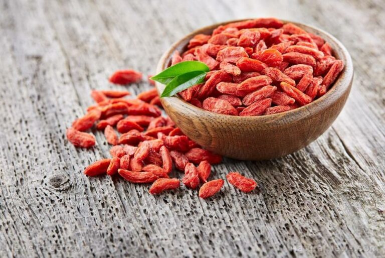 Study suggests compounds in goji berries can boost eye health