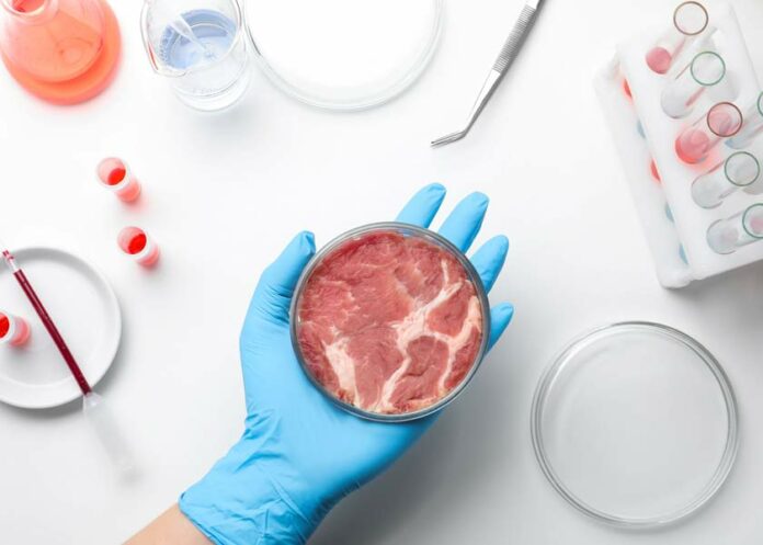The Lies Behind Lab-Cultured Fake MeatAt this year's Natural Products Expo West - usually a showcase for all-natural and organic foods - synthetic and cultured 'meat' took center stage, along with slanderous lies about animal welfare, sustainability and climate change to promote The...
