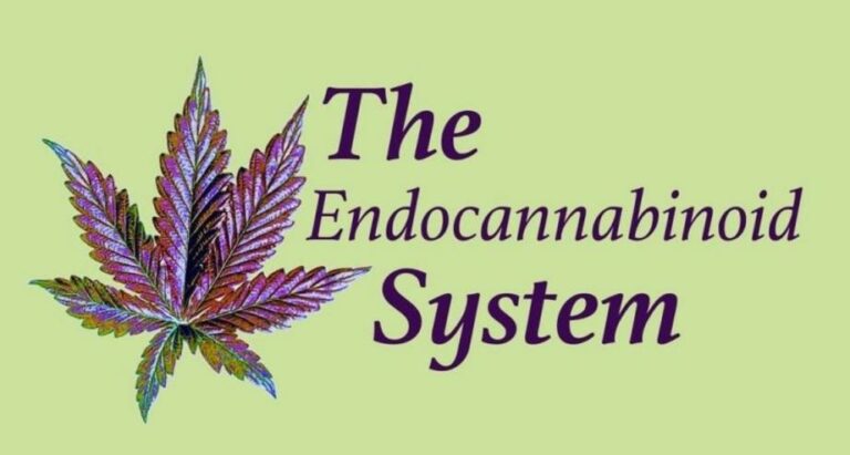 The endocannabinoid system: why we should tell the world about it