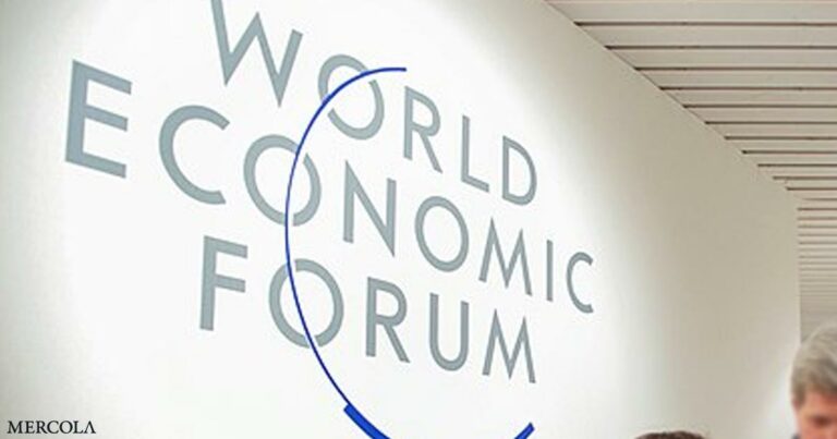 WHO and WEF Globalists Coordinate Their Global ‘Reset’
