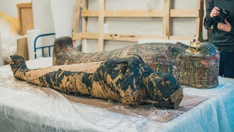 Ancient Egyptian mummy shows evidence of nose cancer