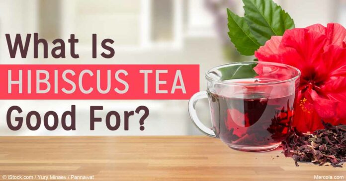 Hibiscus Tea Reduces Blood Pressure