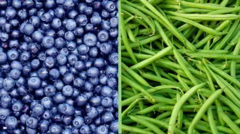 Blueberries and green beans join EWG’s ‘Dirty Dozen’ list of pesticide-drenched produce