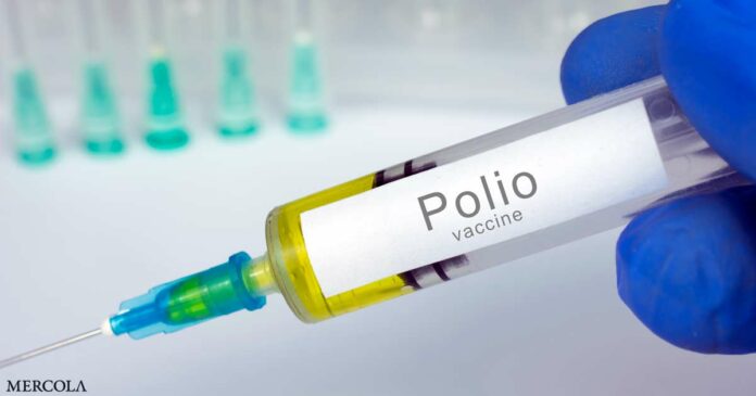 The Spread of Vaccine-Derived Polio