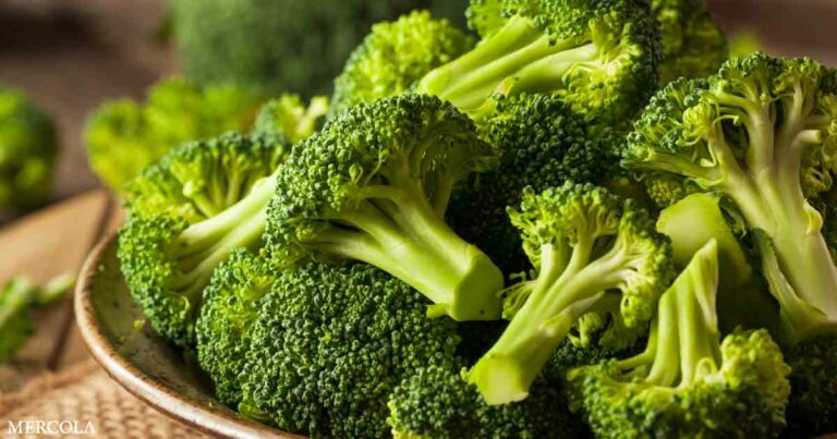 Can Broccoli Help Your Gut?