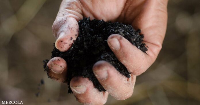 'Dirt Rich' — Importance of Biochar and Regenerative Systems